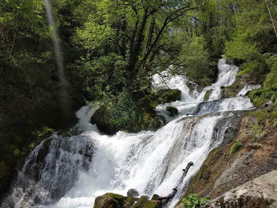 Сибиряк Tskhaltubo Esterno foto